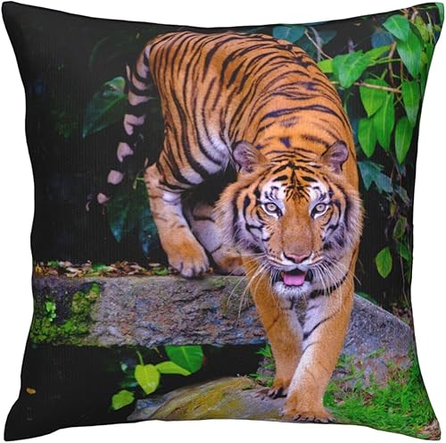Miniatura 5 de VARUN Fundas de almohada de tigre feroz con estampado de animales salvajes y animales salvajes, funda de almohada decorativa para el hogar, sofá,
