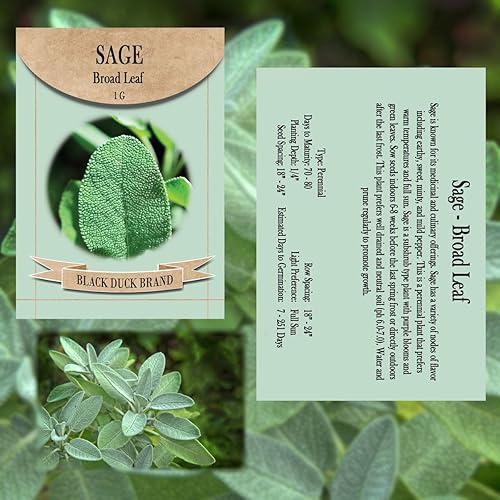 Miniatura 2 de Italian Kitchen - Kit de semillas de jardín de hierbas  7 variedades culinarias clásicas para cocina auténtica  Semillas sin OMG y tradicionales