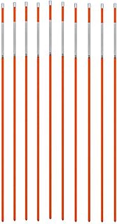 665-10 Snow Pole Driveway Marker, 48-Inch with Reflective Tape, Hiviz Orange and Hammer Cap, Pack of 10