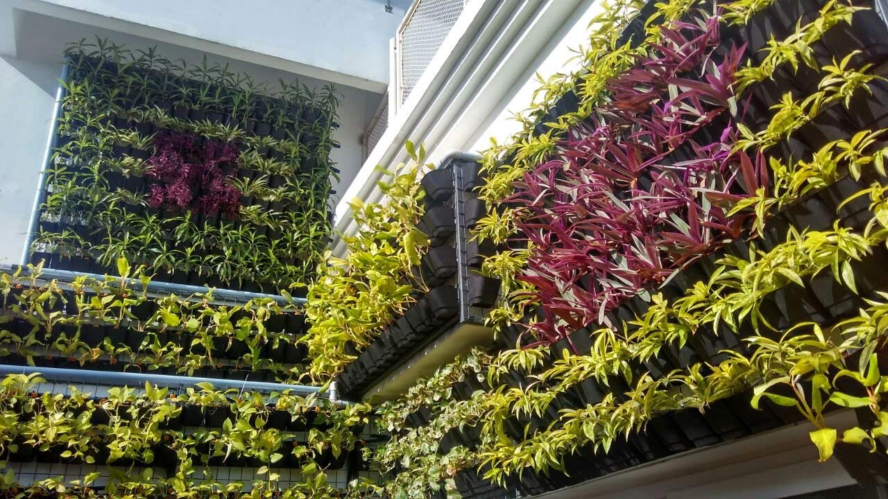 Vertical Garden Pots - 100 Pack Black -3