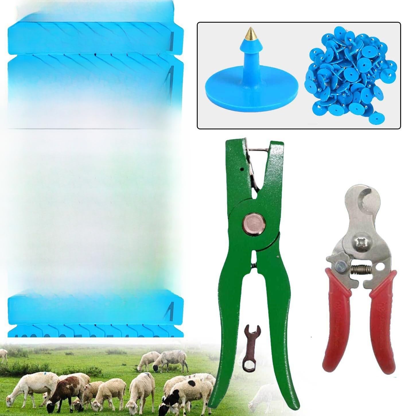 Set Etichette Orecchio Bestiame 300 Pezzi con Pinza Applicazione e