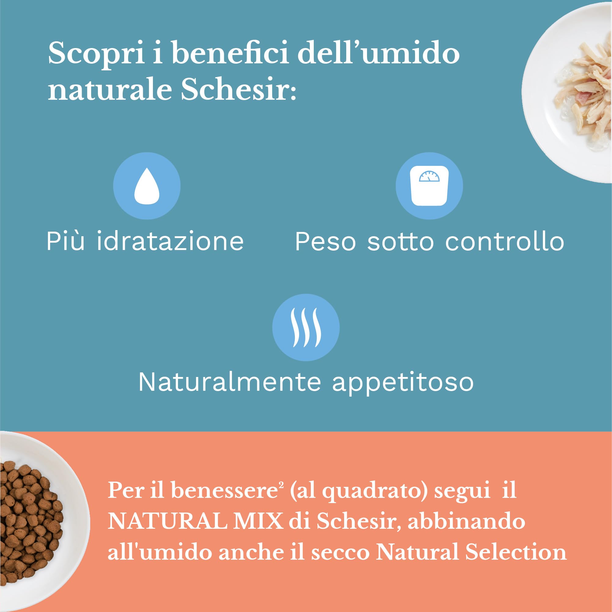 Schesir, Cibo Umido per Gatti Adulti, Tonnetto Aloe, in Filetti e Gelatina 100% naturale. Confezione da 6 lattine x 85gr