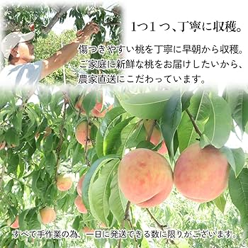 桃農家、葡萄農家 maxresdefault.jpg