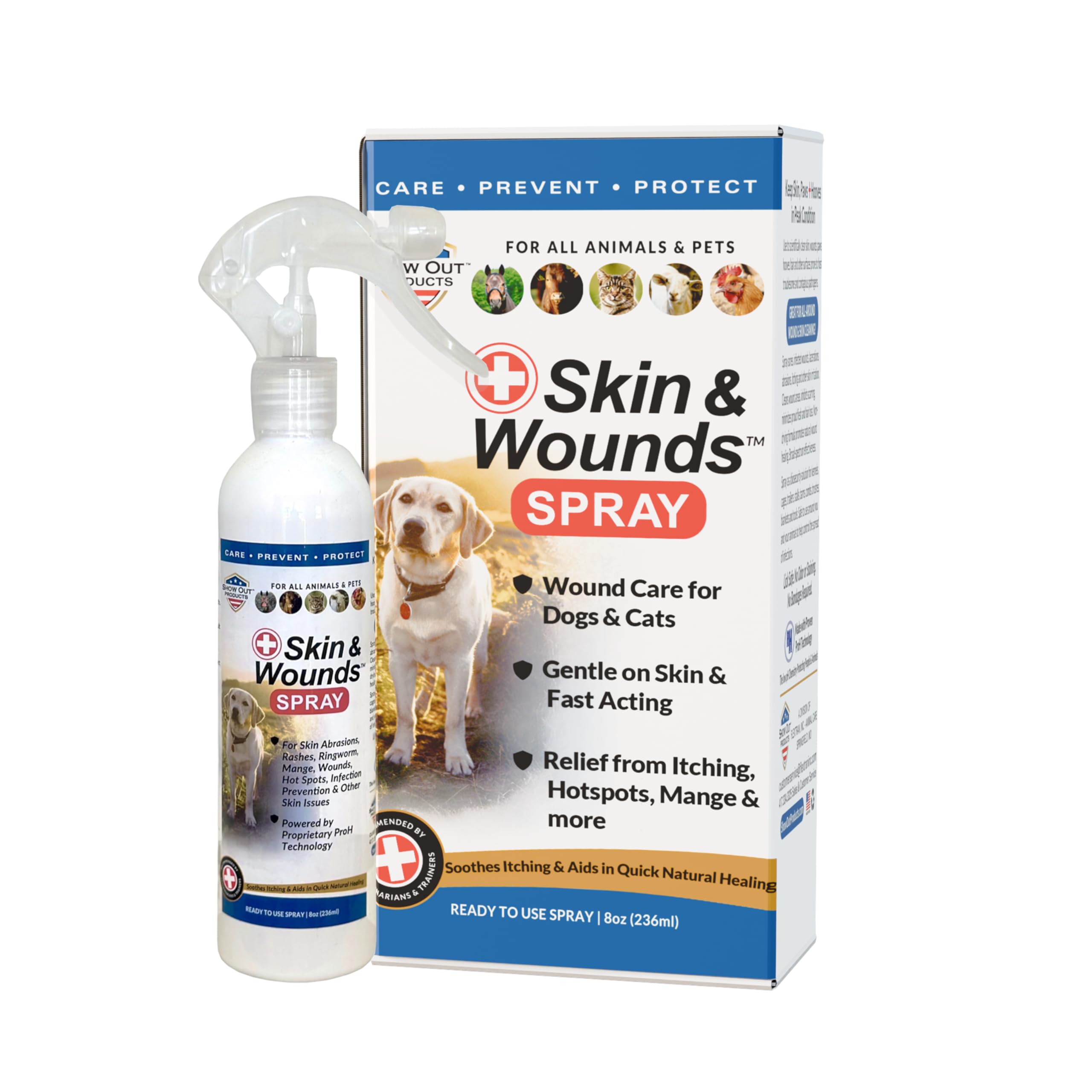 Show Out Skin & Wounds Spray for Dogs — Helps Control Dog Mange & Itchy Skin | Natural Relief for Hot Spots, Ringworm & Dermatitis | Gentle, Vet-Level