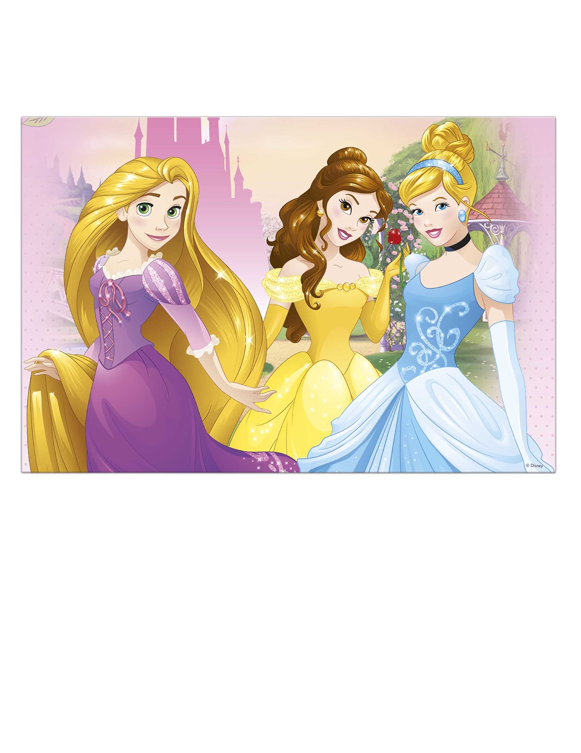 PRINCESS Disney Party Tablecover 1Ct, pink, pack of 1, 47084