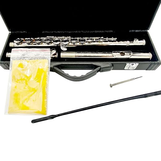 TEACHER APPROVED! Carolina Winds Intermediate Flute (cw401flt) Silver