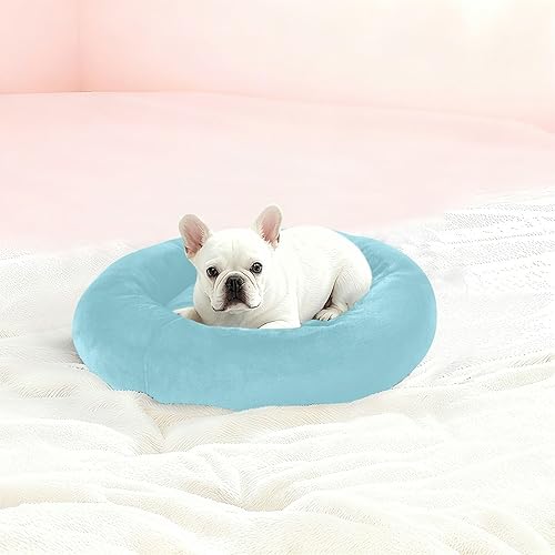Miniatura 2 de KLL Wathet Warm & Soft Pet Cat Bed fluffier Dog Pillow Bed for Medium Size Pets Sleeping Camas para mascotas Grandes