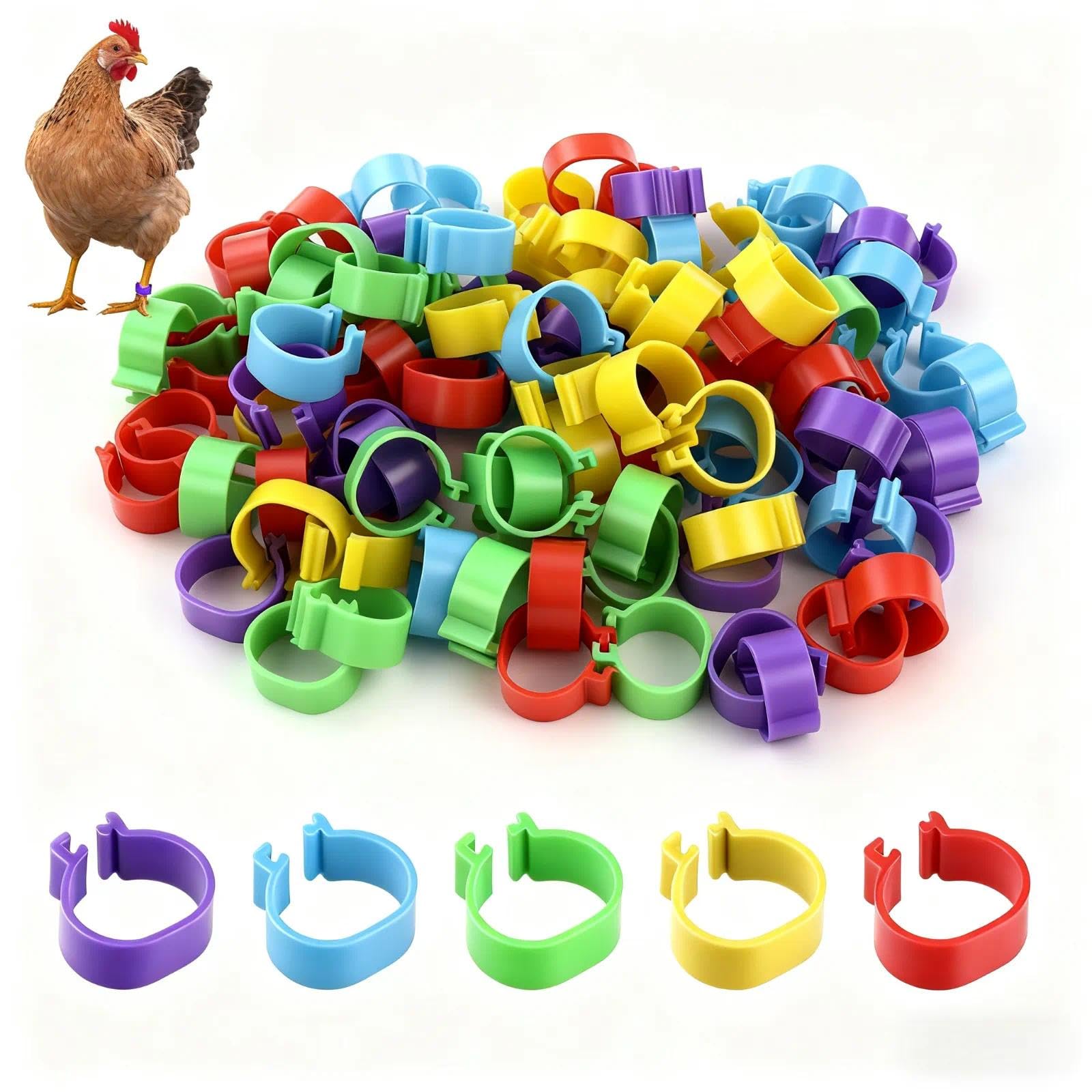 Anillas para Patas de Pollo 16mm - Anillas de Marcaje Transparentes para Gallinas, Gansos y Patos - Anillas Desmontables para Avicultura