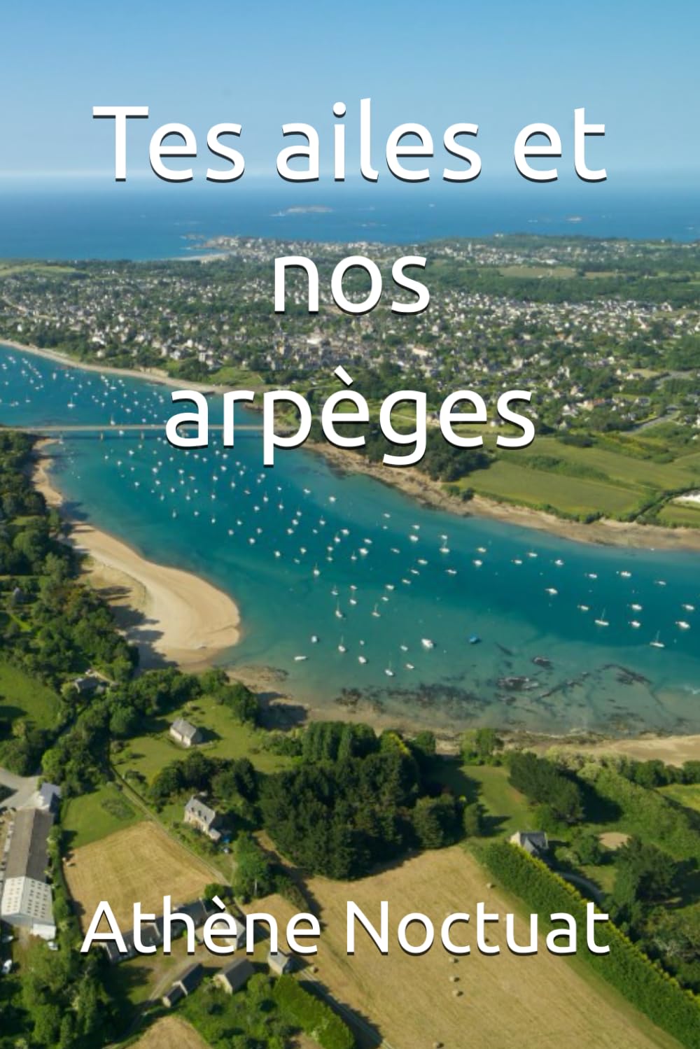 Tes ailes et nos arpèges