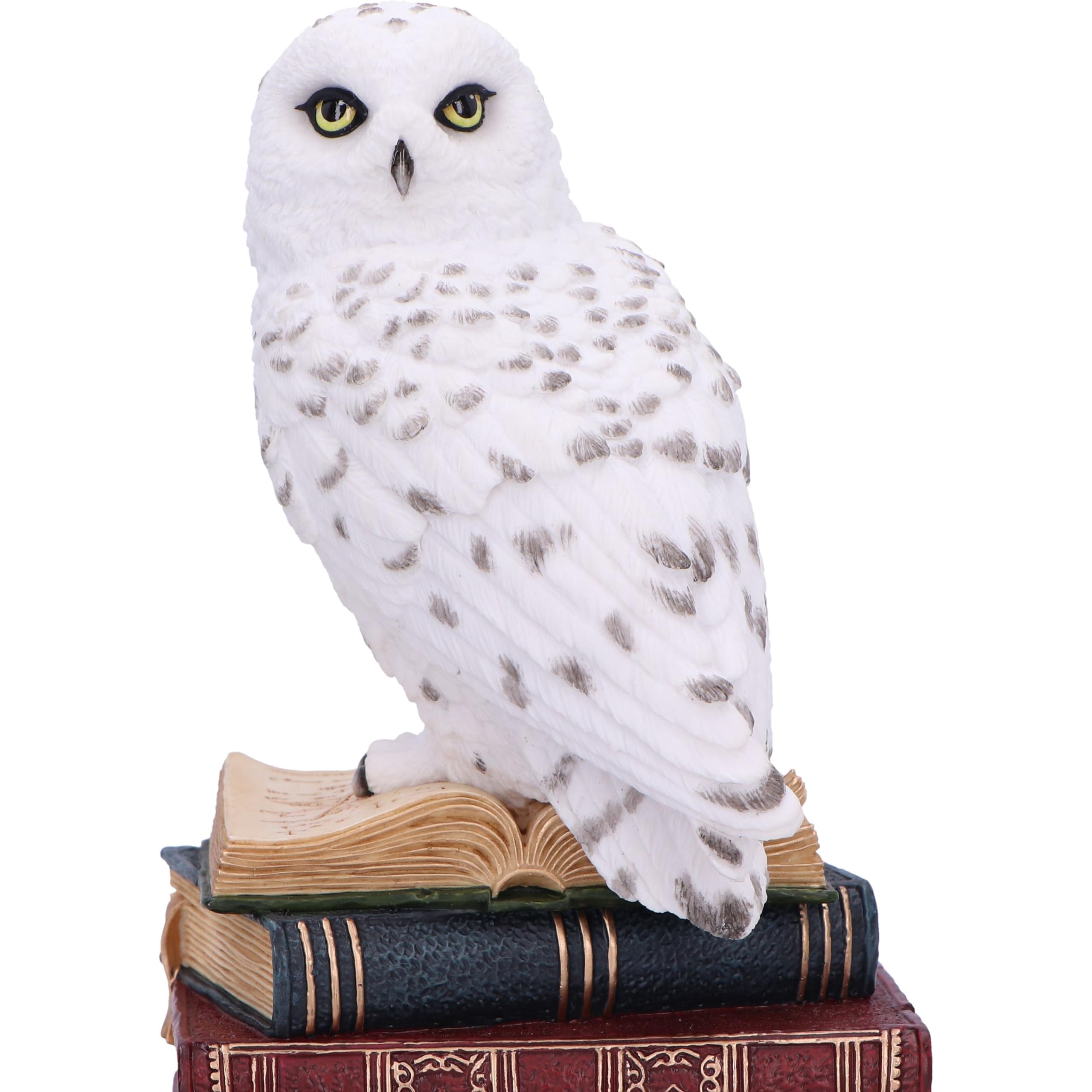 Nemesis Now Statuetta della Biblioteca della saggezza, 17 cm, in resina, bianca, gufo bianco su libri, ornamento per libri fantasy, espositore per libri, colata nella migliore resina, sapientemente