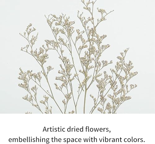 Miniatura 5 de Estantes flotantes montados en la pared, marco de metal negro con decoraciones creativas de especímenes de plantas, estante para especias, estante