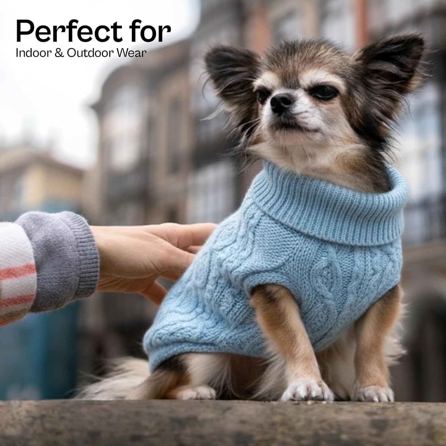 Parisian Pet Dog Sweaters - Pull Over, Turtle Neck Blue Dog Sweater - Cable Knit Thick Puppy Sweater - Fall, Winter Pet Clothes - Flexible Arm Holes Sweaters for Small Dogs - S