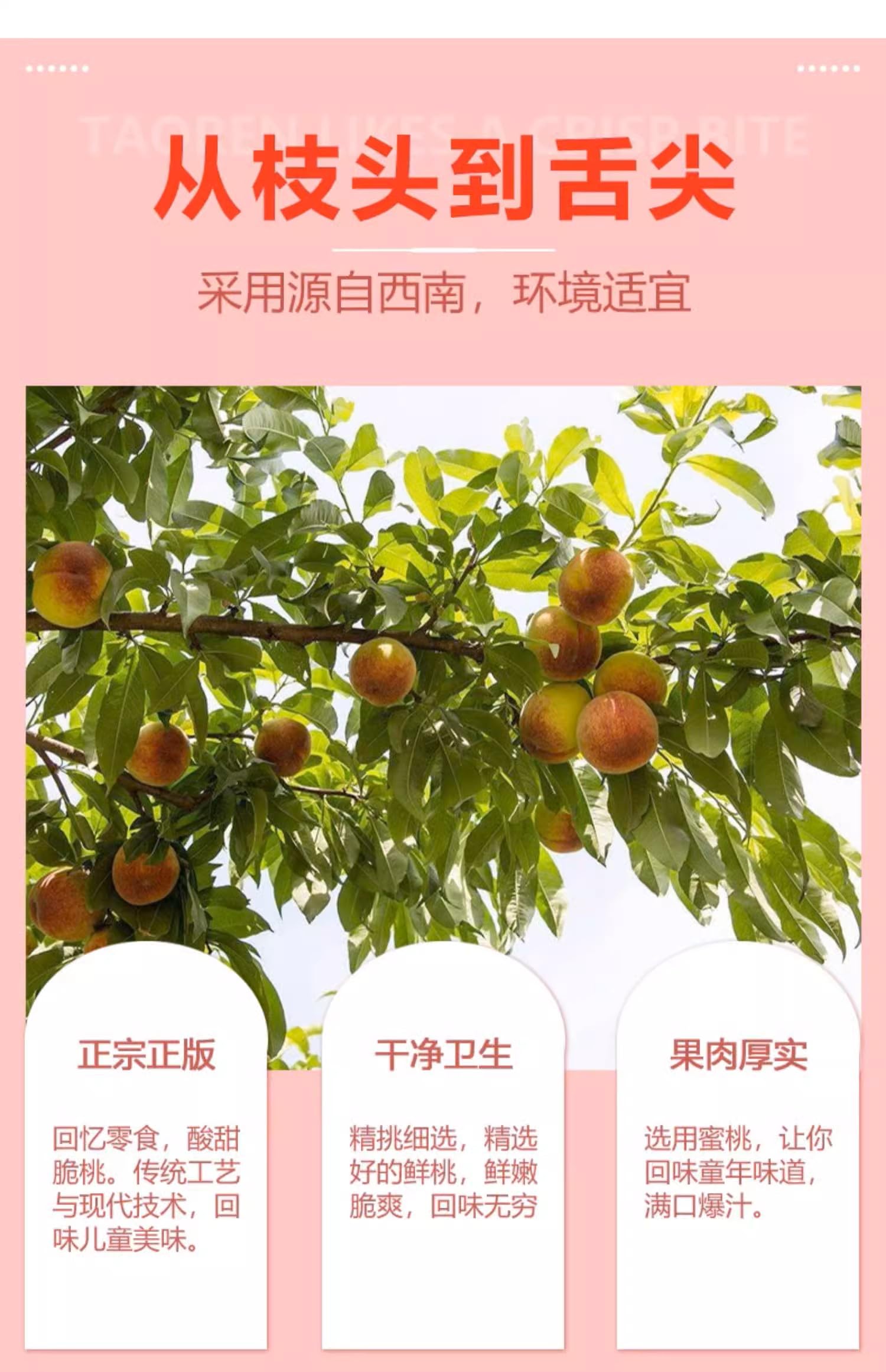 Amazon | 酸甜脆桃 フルーティー 甘酸っぱい風味 軽く爽やかな風味