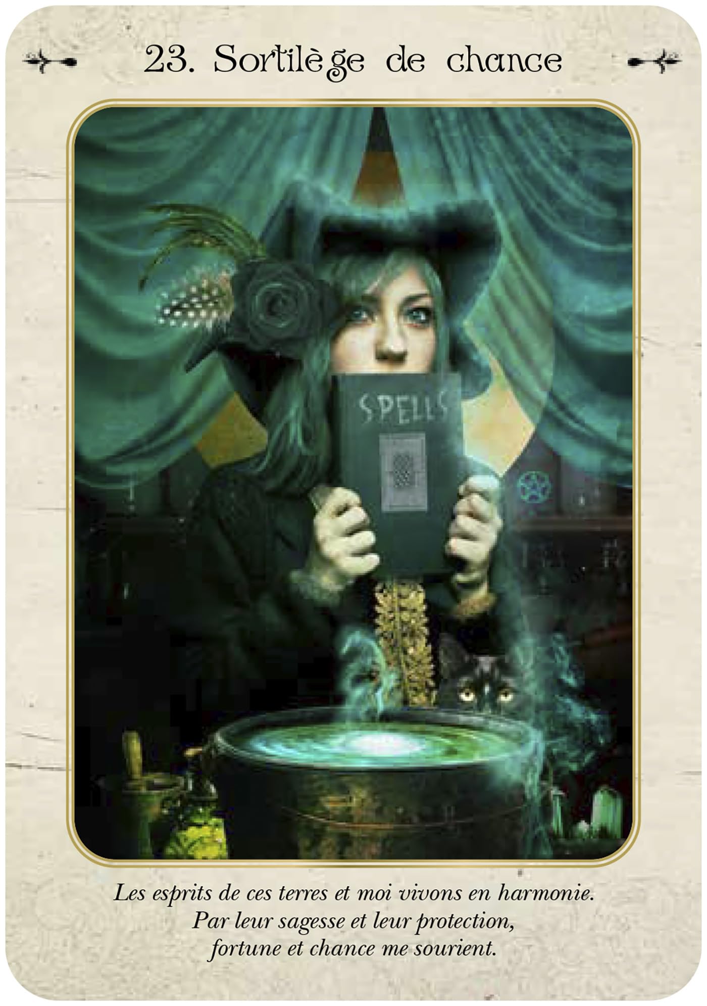 Les Potions de Sorcière - Sortilèges, incantations et remèdes naturels