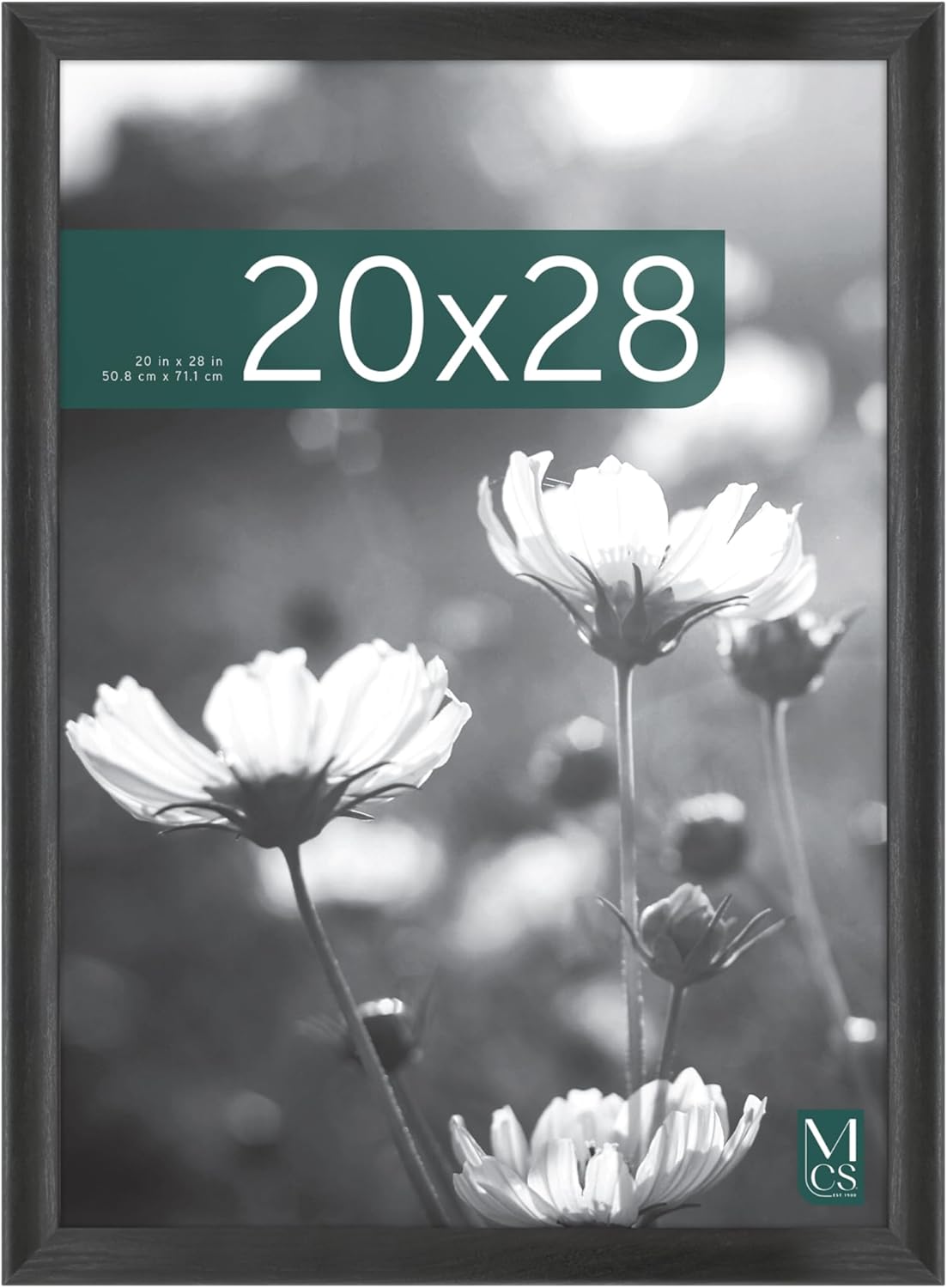 MCS Studio Gallery Classic 20x28 Poster Frame Black Woodgrain, Vertical & Horizontal Wall Hanging Large Picture Frame for Photos, Posters & Art Prints (1-Pack) Black Woodgrain 20X28 - Classic 1-Pack