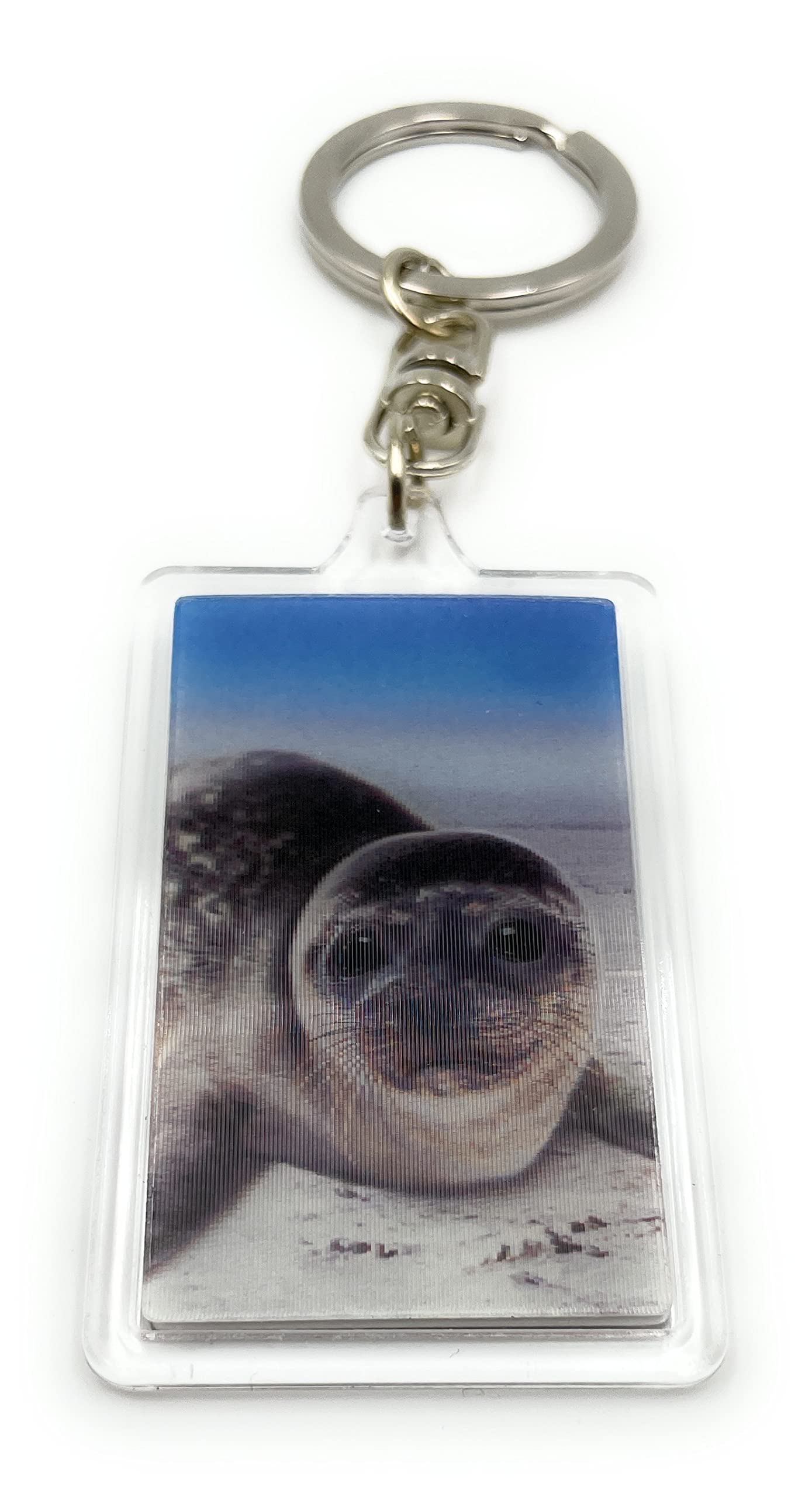 Onwomania Men's Gray - Seal Baby Seal - 3D Metal Keyring Ideal As A Gift E.g. For A Best Friend, Best Friend, Mum - For Wo And Children, One Size