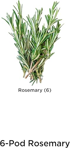 Miniatura 5 de AeroGarden - Kit de semillas