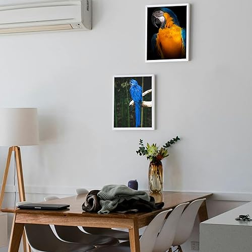 Miniatura 10 de YIVIVEN Paquete de 2 marcos flotantes para pintura en lienzo montados, marco flotante de lona de 78 pulgadas de profundidad (16 x 20 pulgadas, negro)