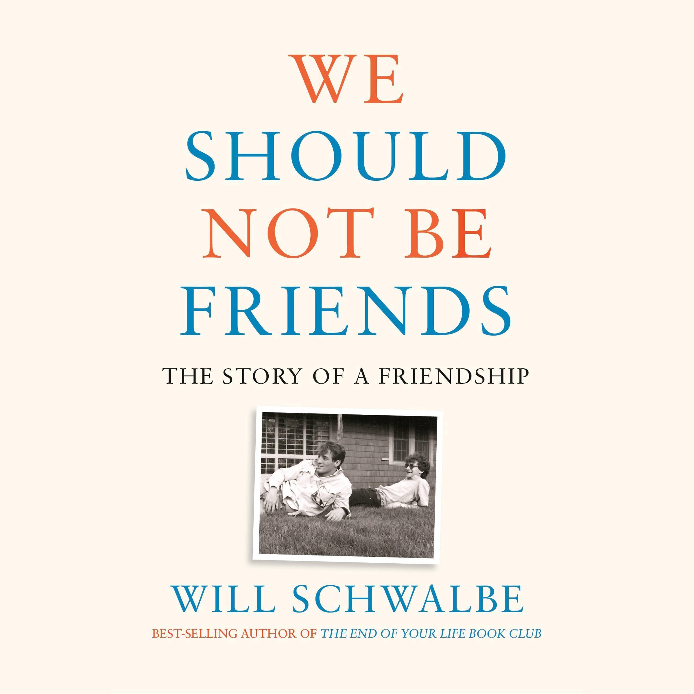 Cover art for We Should Not Be Friends