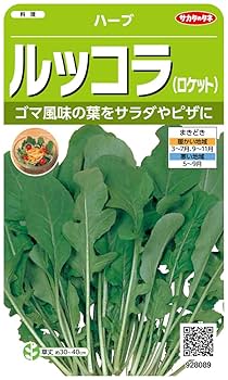 ルッコラページ 717aV4RJl1L._UF350,350_QL80_.jpg