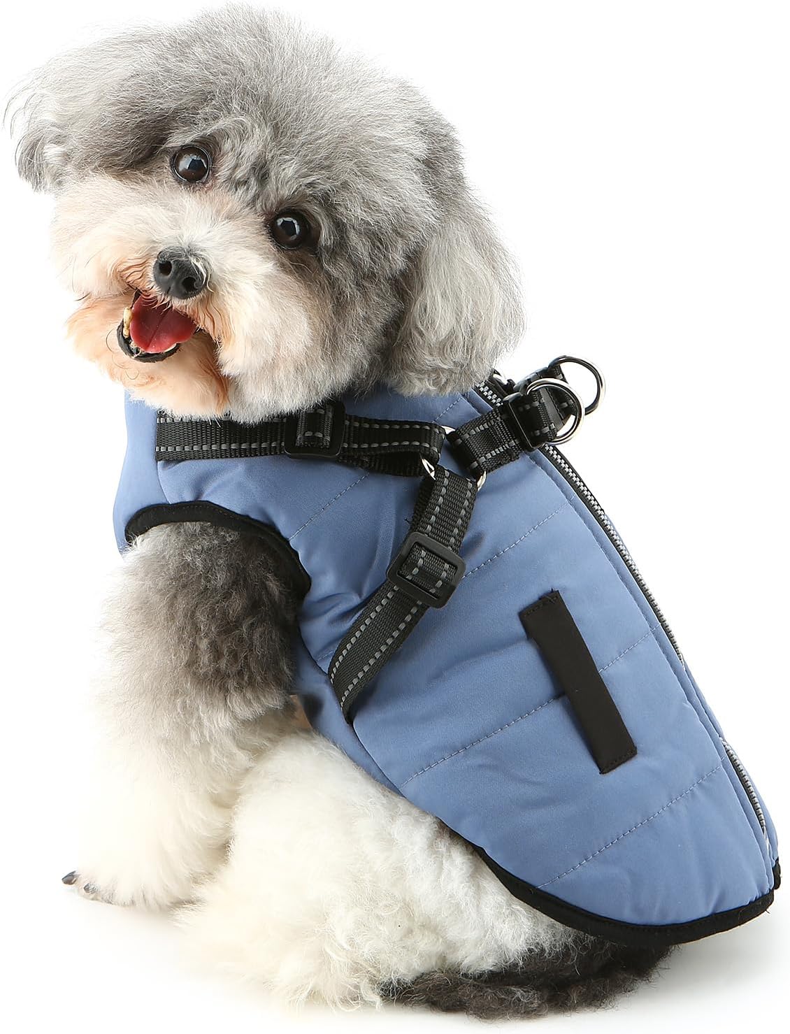 Ranphy Reflective Fleece Lined Jacket with Built-in Harness for Small Dog Padded Puppy Winter Coat Sleeveless Zipper Windproof Yorkie Chihuahua Warm Clothes Double Leash Ring Cat Clothing,Blue,XL