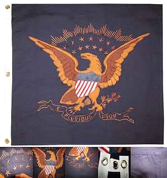 洋楽 The 49 Americans - E Pluribus Unum The 49 Americans / E Pluribus Unum (LP)