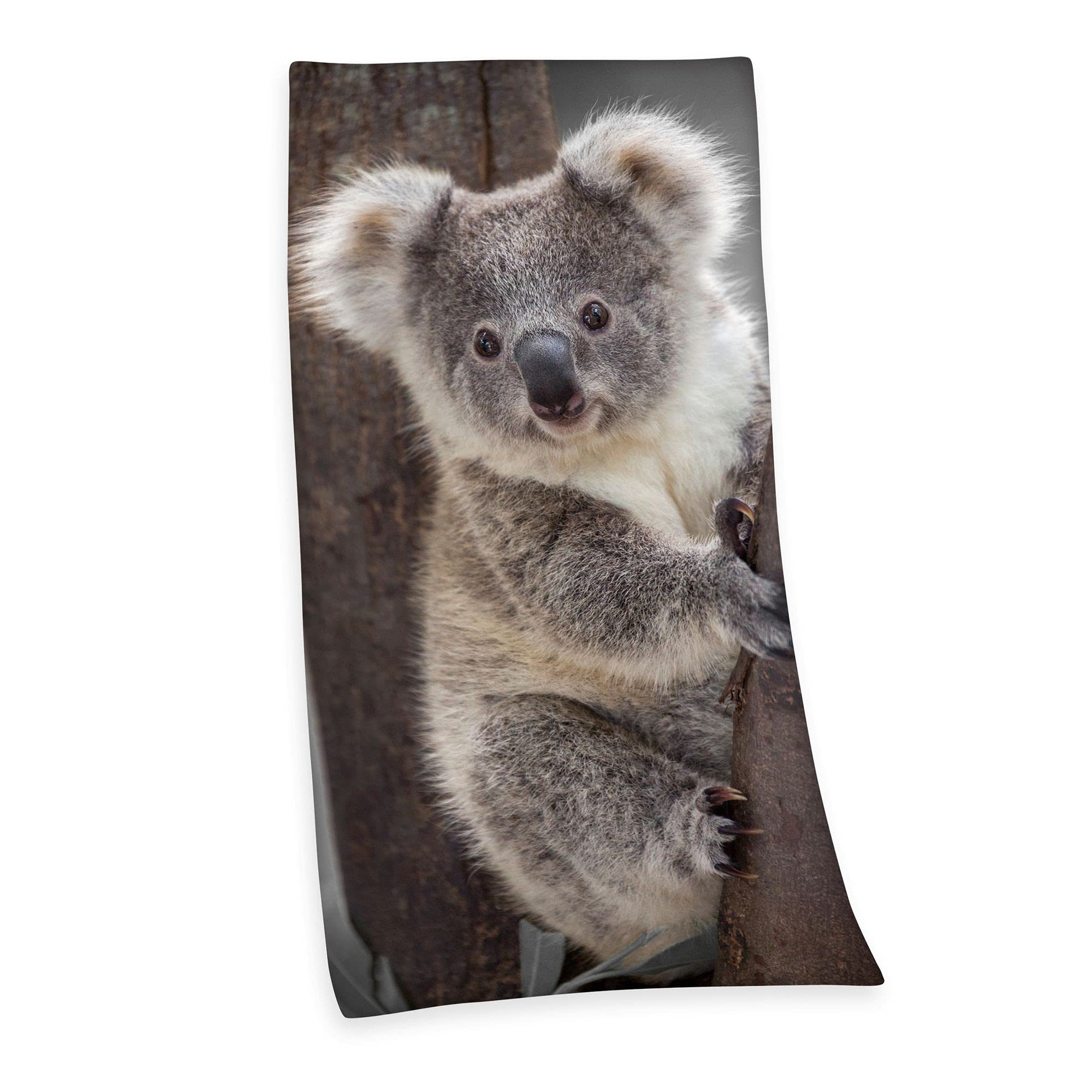 Klaus Herding GmbH Velour Towel Bath Towel Beach Towel with Koala 75 x 150 cm