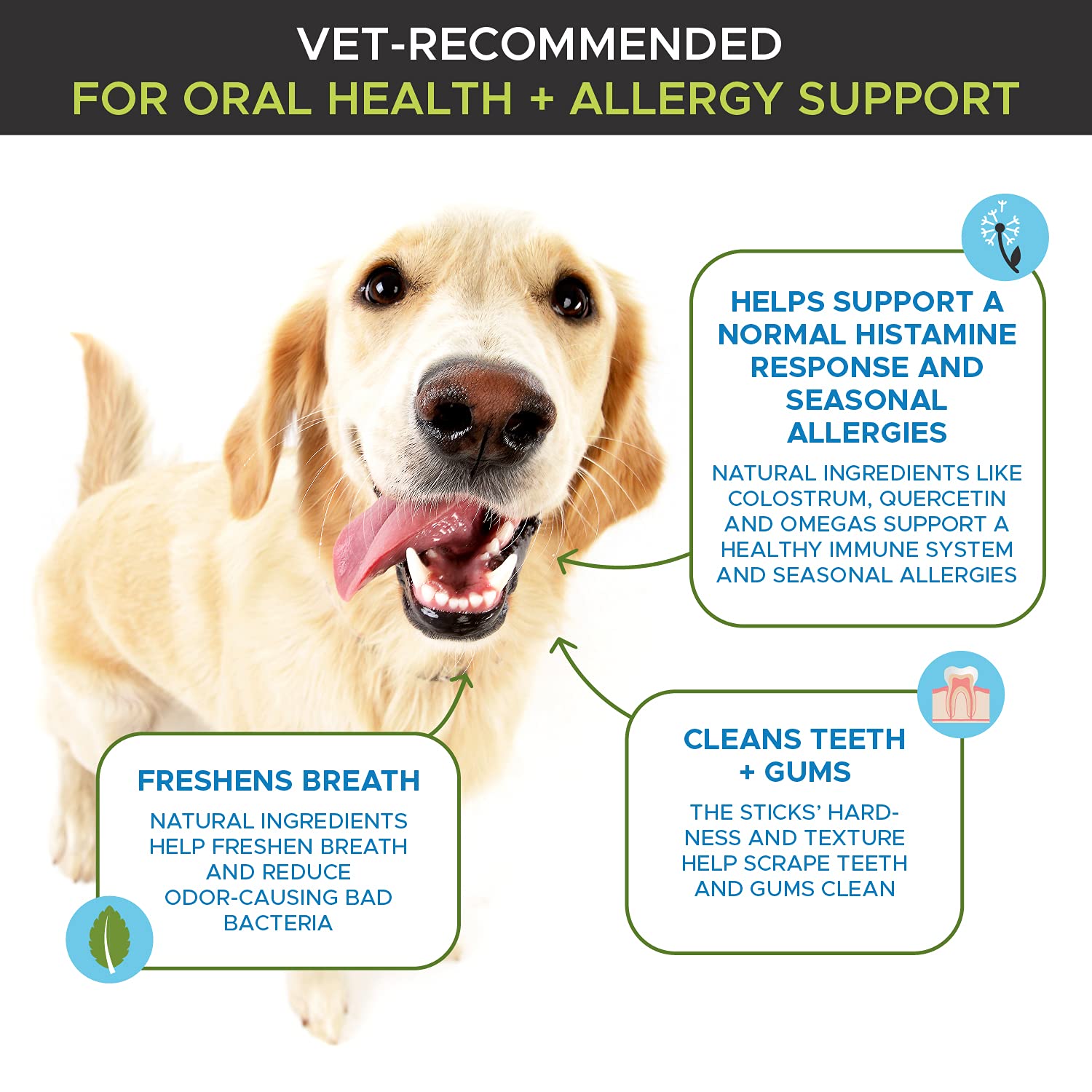 What Does An Allergy Look Like On A Dog