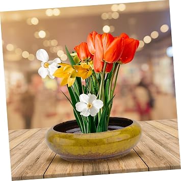 Indoor Hydroponic Ceramic Flower Pot 7 Inch with Firm Sturdy Design and Drainage for Garden and Office Plants