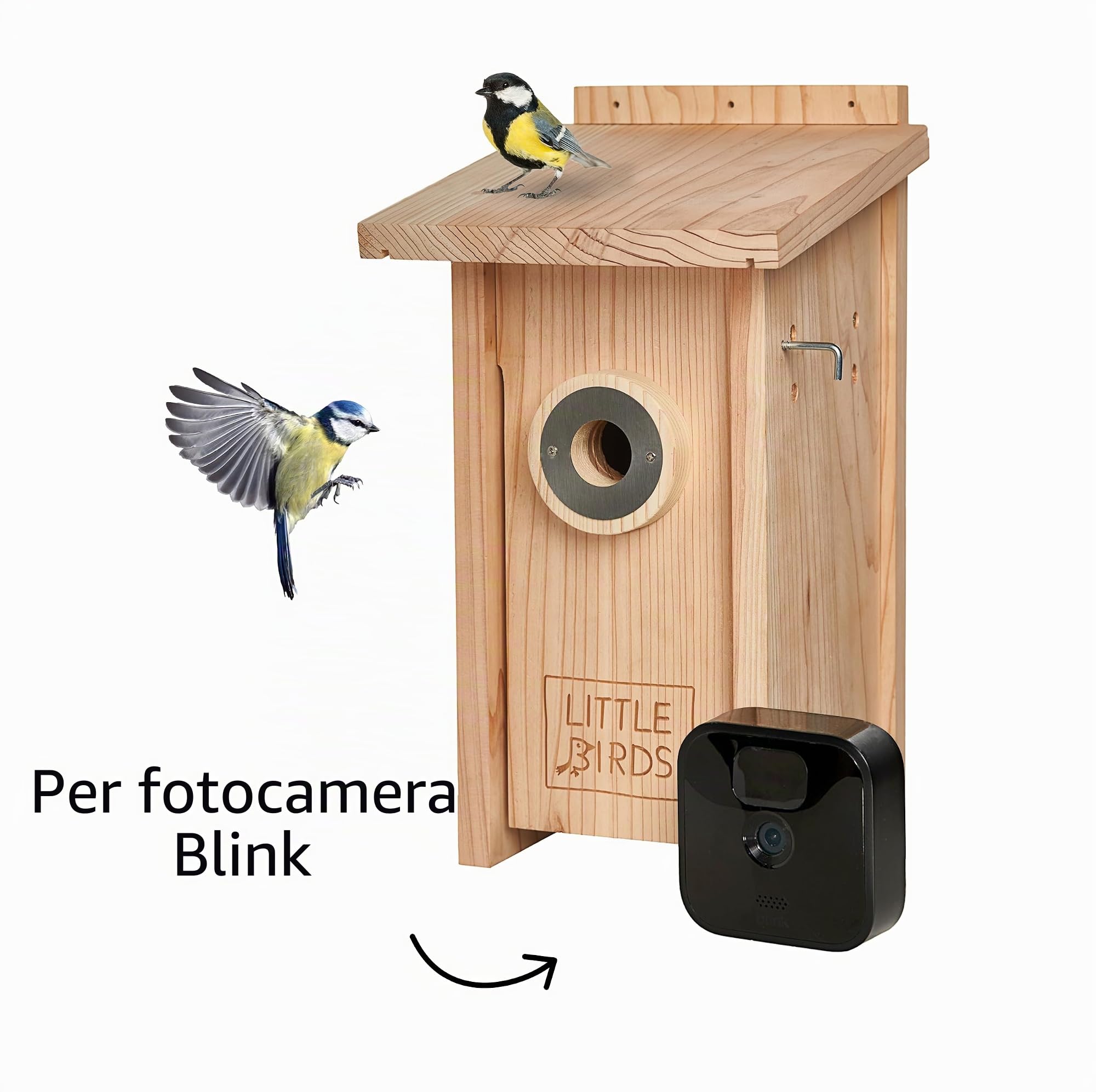 Little Birds - Casetta per uccelli in legno massiccio per telecamera lampeggiante, senza elettricità/cavo necessario, protezione contro gatti e picchi, incubatrice, casetta per uccelli