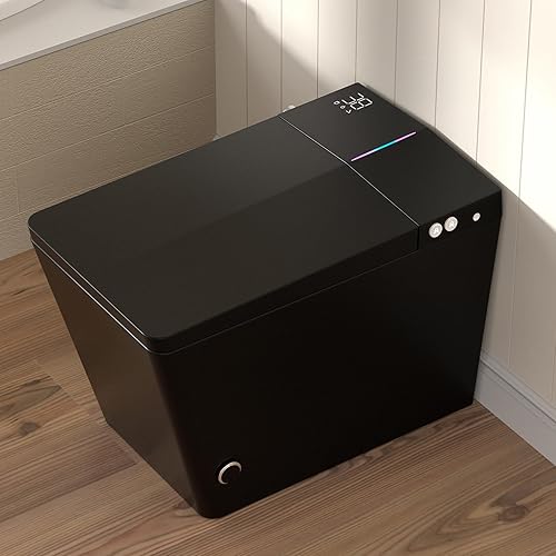 WinZo Inodoro inteligente con tanque incorporado, asiento cuadrado cómodo de una pieza con bidé de agua caliente, asiento con calefacción y secado