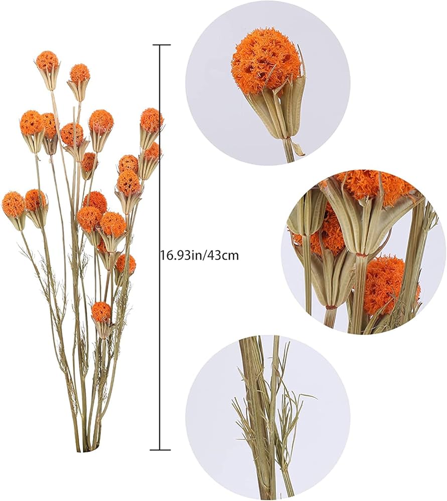 ドライフラワー❇️ミニバラ❣️オレンジ系 ドライフラワー❇️ミニバラ❣️オレンジ系 Amazon｜XHXSTORE 40個