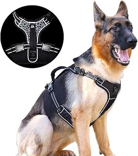 safe behind bars dog harness amazon