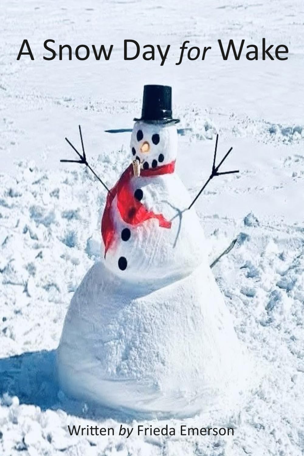 A Snow Day for Wake