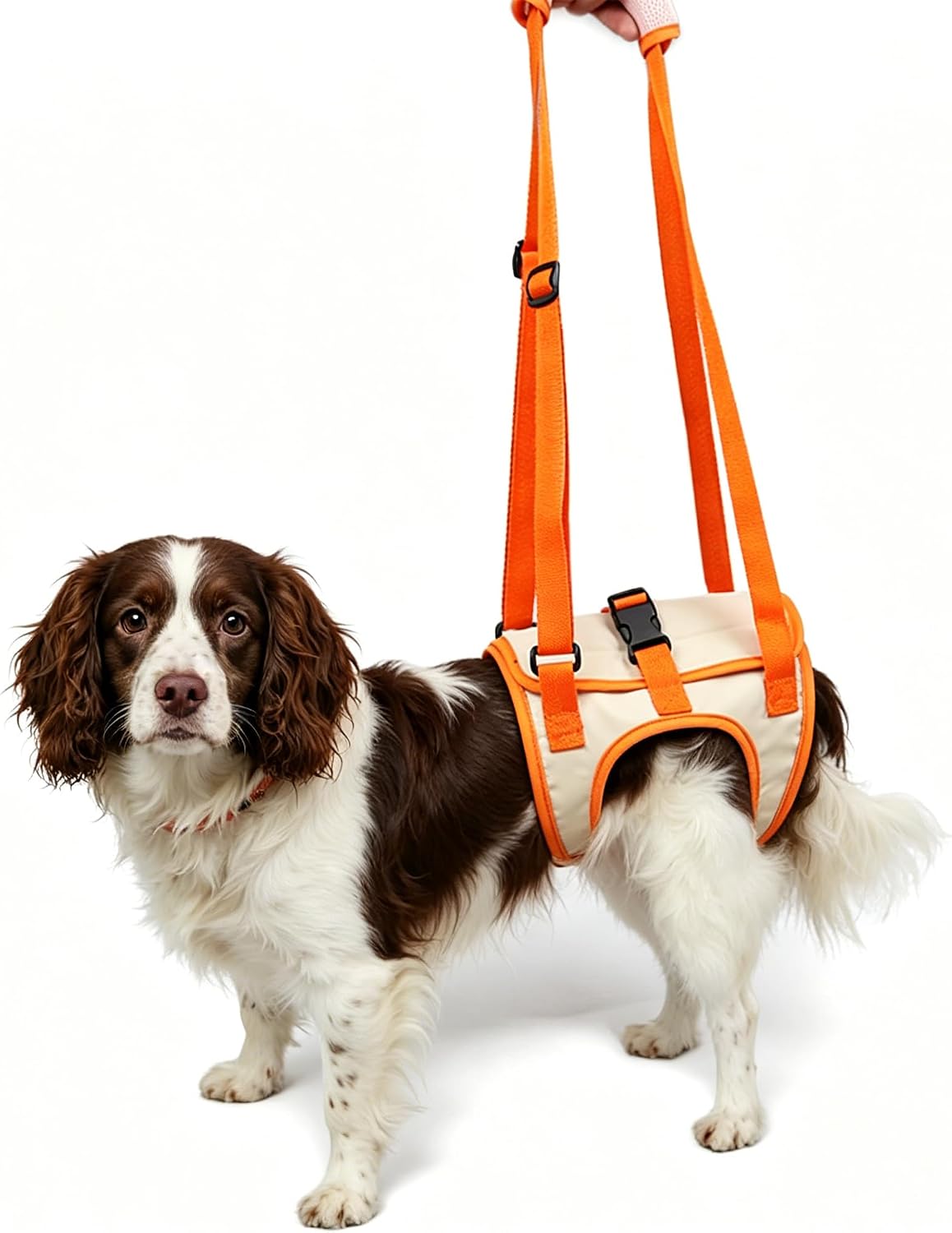 Paralyzed Dog Hind Leg Support Harness for Medium Dogs – High-Conversion Product Description & Key Points
