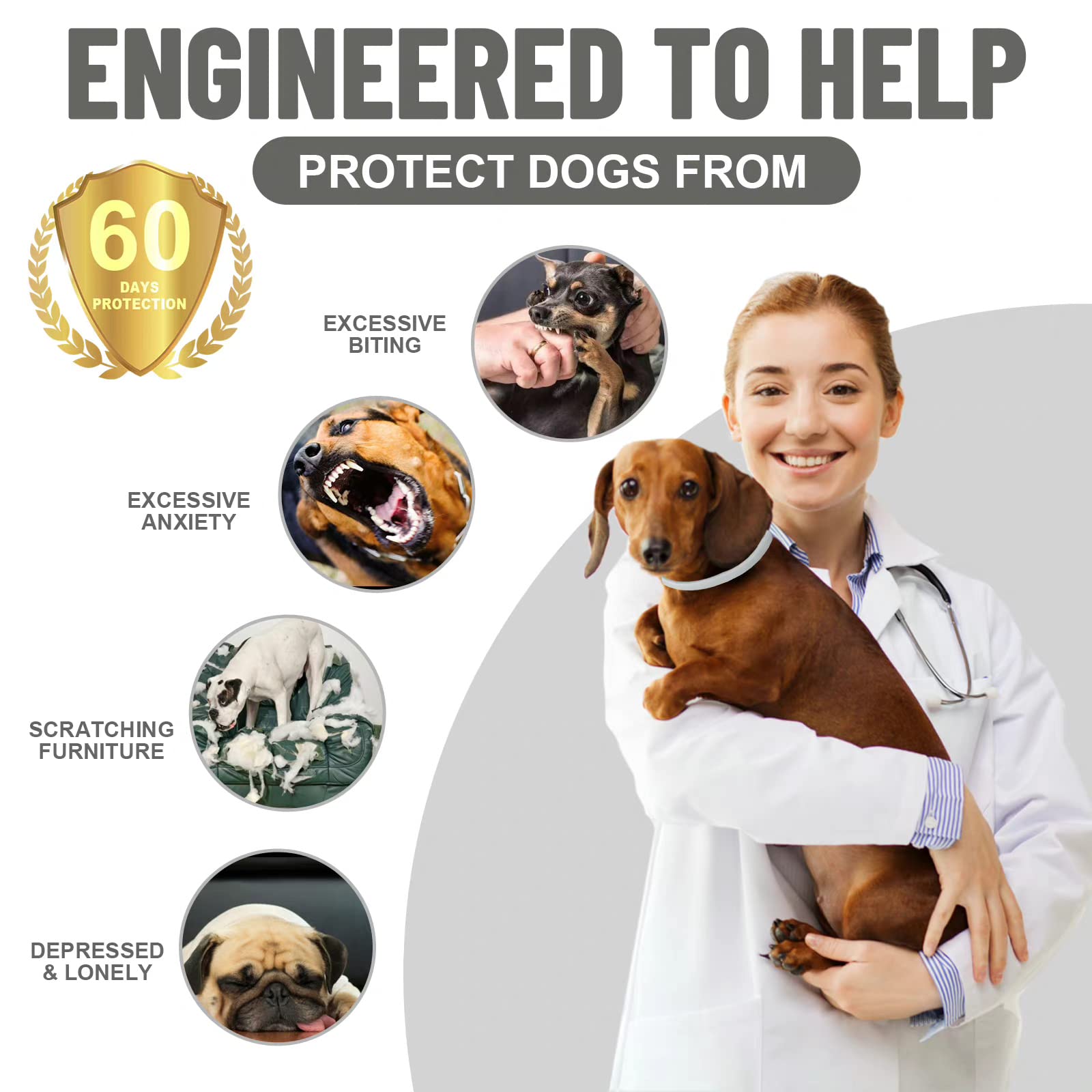 Collier Apaisant Pour Chien Anti-stress - Réglable 62cm, Résistant à L'eau, Aide Lors Voyages Ou Vétérinaire