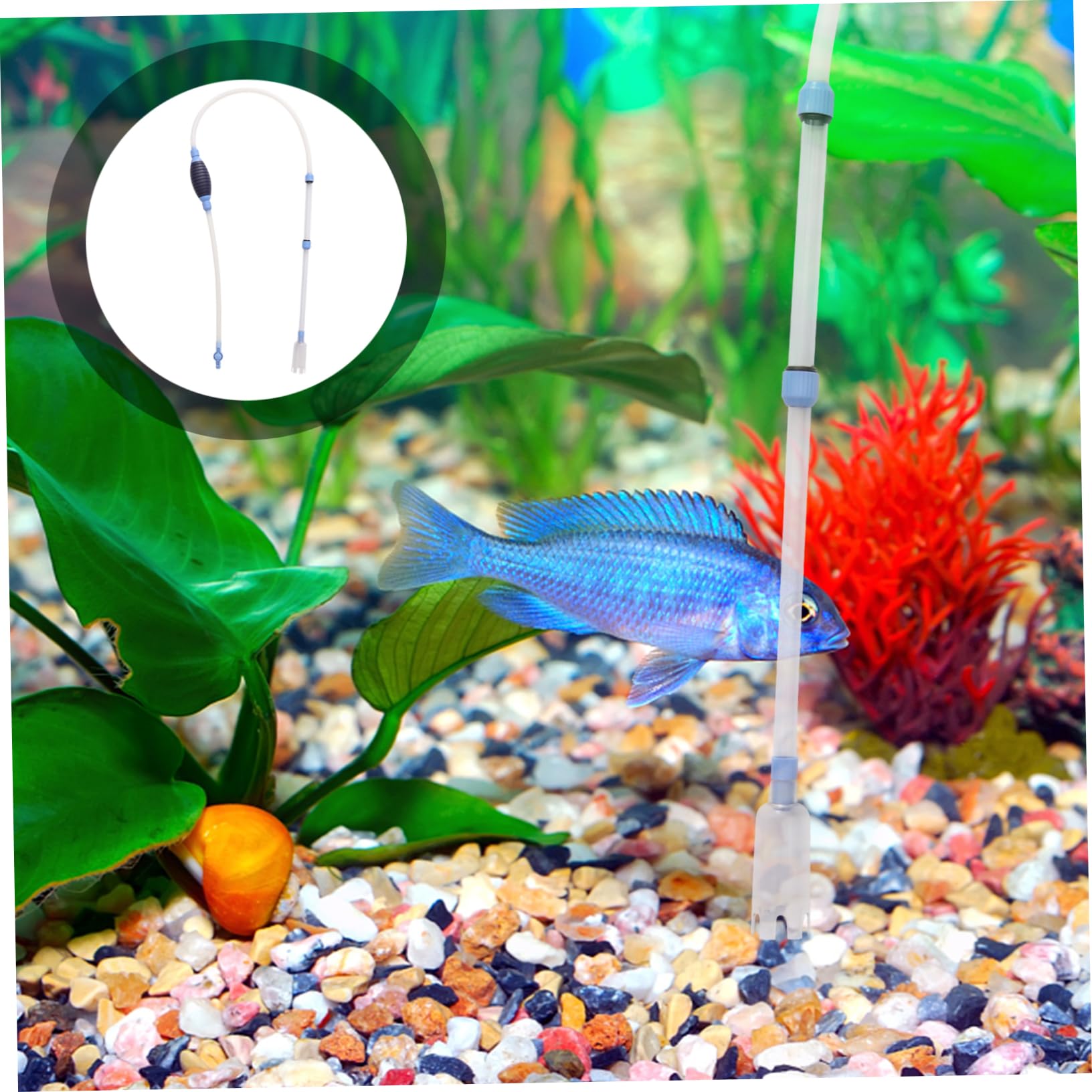 minkissy Lot de 3 aspirateurs à Vide pour Aquarium - Changeur d'eau - Aspirateur de Table - Aspirateur sous Vide - Mini aspirateur - Laveuse à Sable - Filtre à Eau Manuel