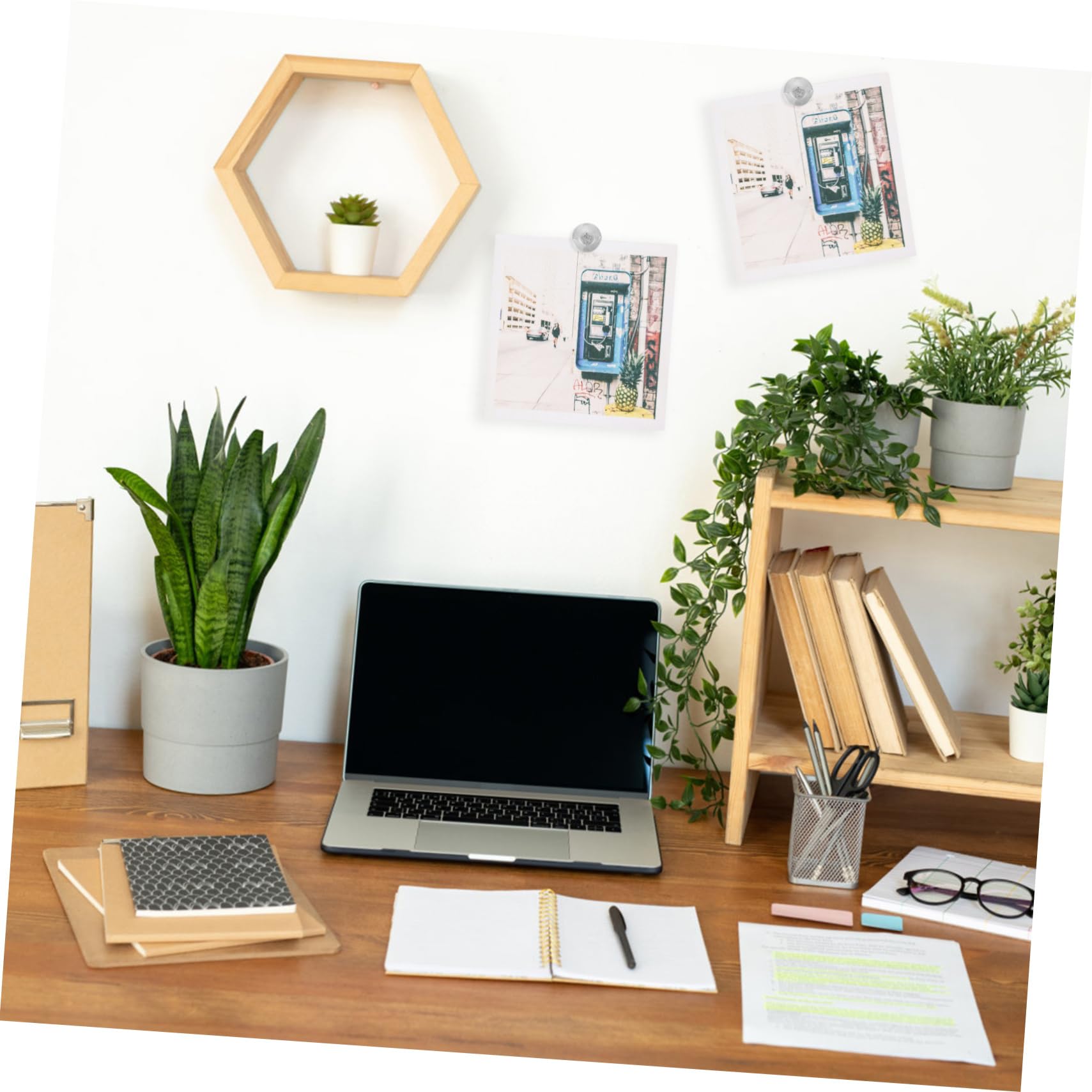 DOITOOL 5 Sätze Reißzwecke Aus Metall Thumbtacks Korkboard Stecknadeln Für Die Karte Bulletin -Brett Korkplatte Kompakter Druckstift Zarte Reißnägel Zinklegierung Silber 30 Stück * 5