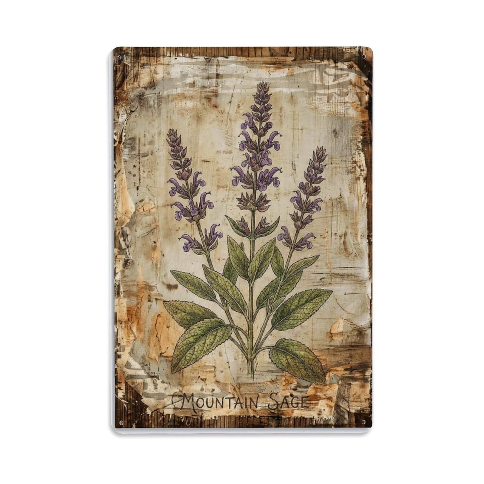 Fqnyr Style Mountain Sage Herb Metal Tin Sign Plaque Wall Decor For Cafe, Club Bar, Office, Home Garden Metal Poster 8X12inch