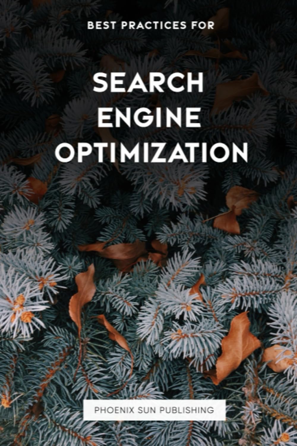 Best Practices for Search Engine Optimisation - SEO
