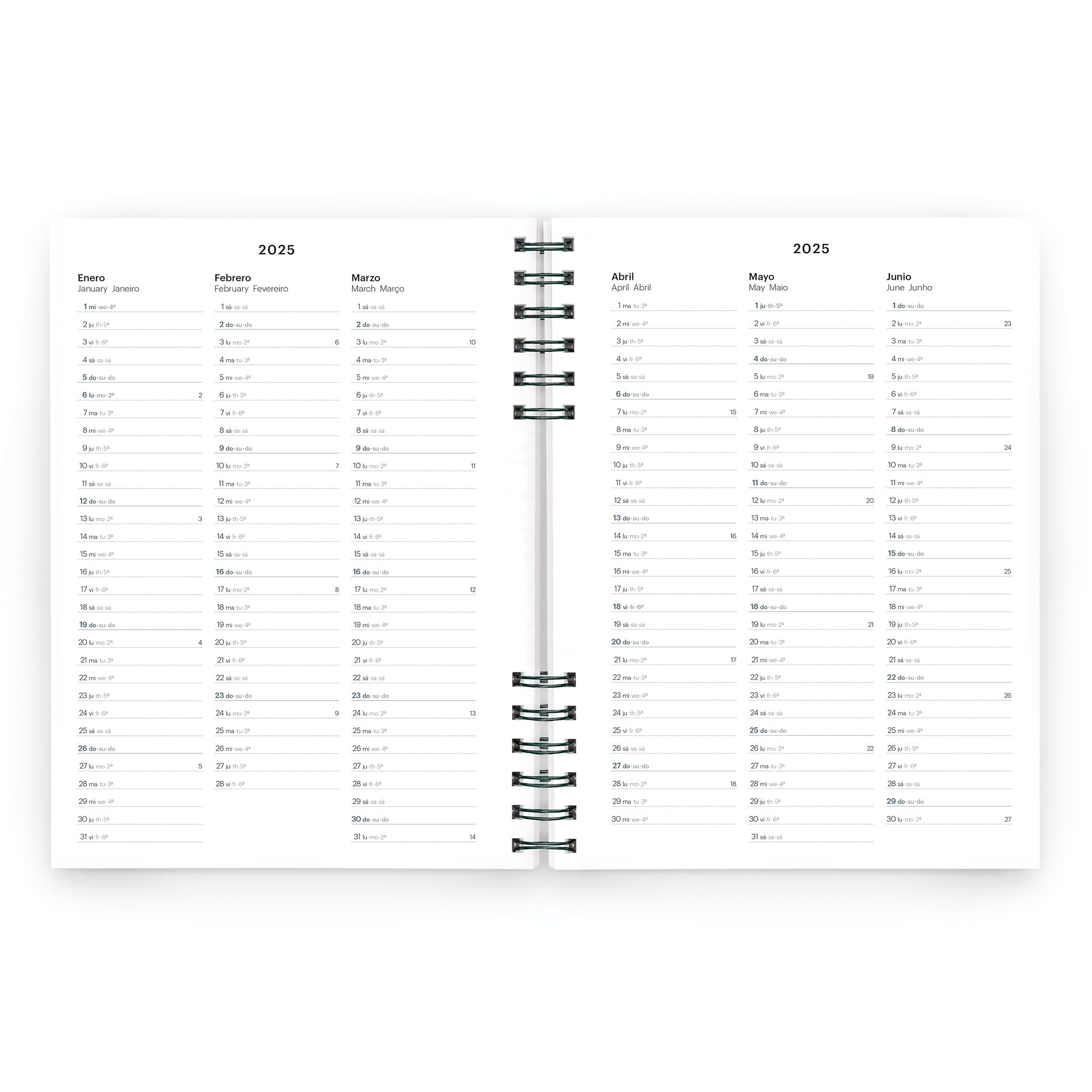 Miquelrius, 2025 Diary, Yearly Diary 155 x 213 mm, Day Page Agenda, Lined Cardboard Cover, Sustainable Paper 100 g/m² - Image 3