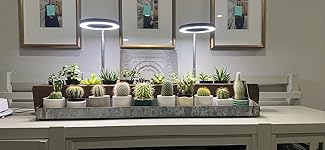 Review Image by Smith Smith