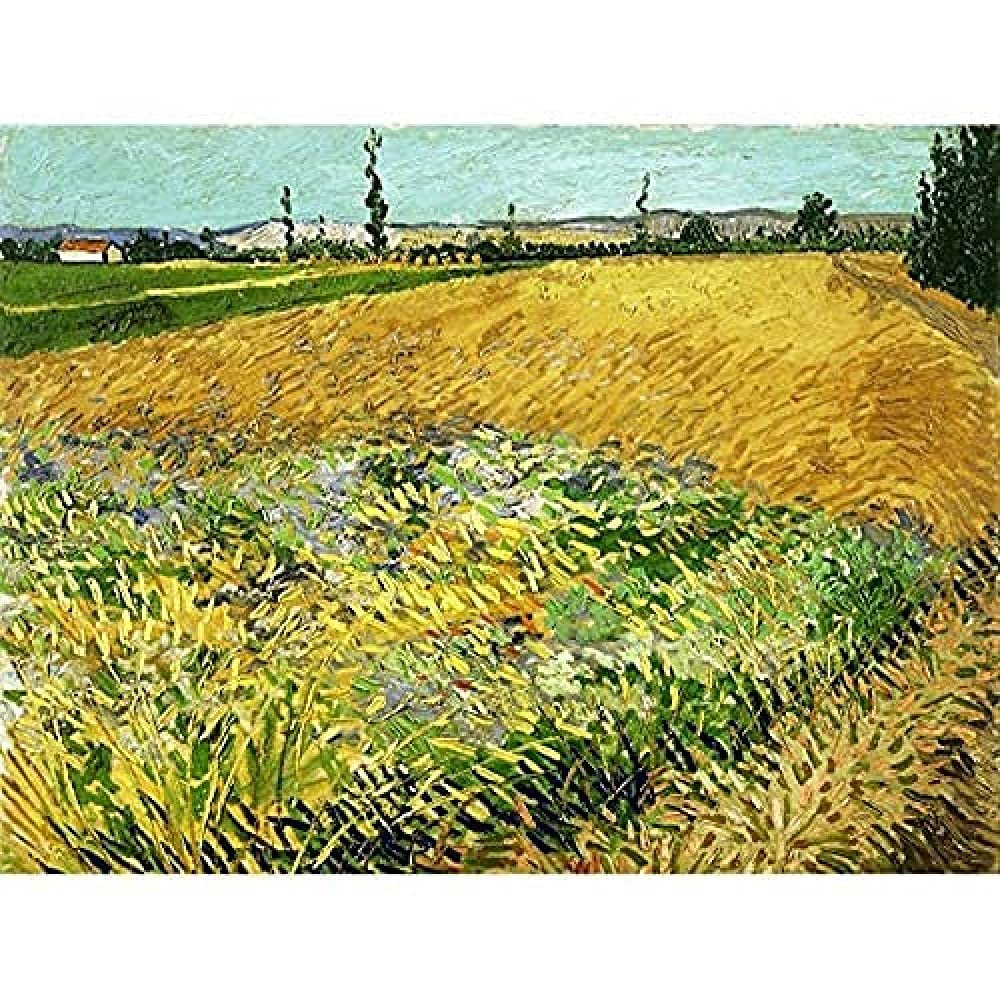 Vincent Van Gogh Wheatfield Art Print Canvas Premium Wall Decor Poster Mural