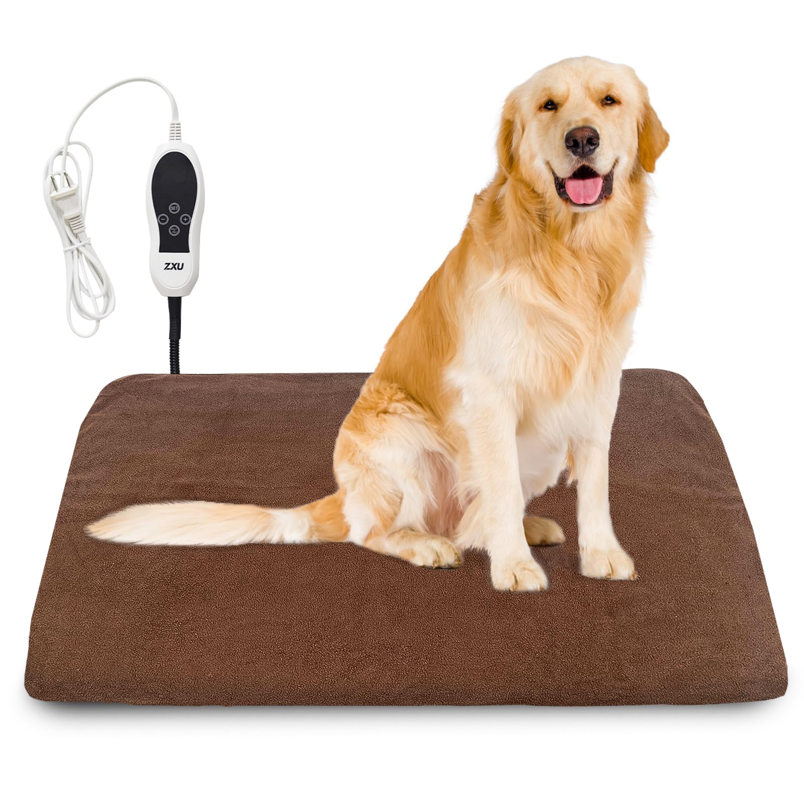 Small Leather Backpack Purse For Women/Girls - Cute, UK | Ubuy