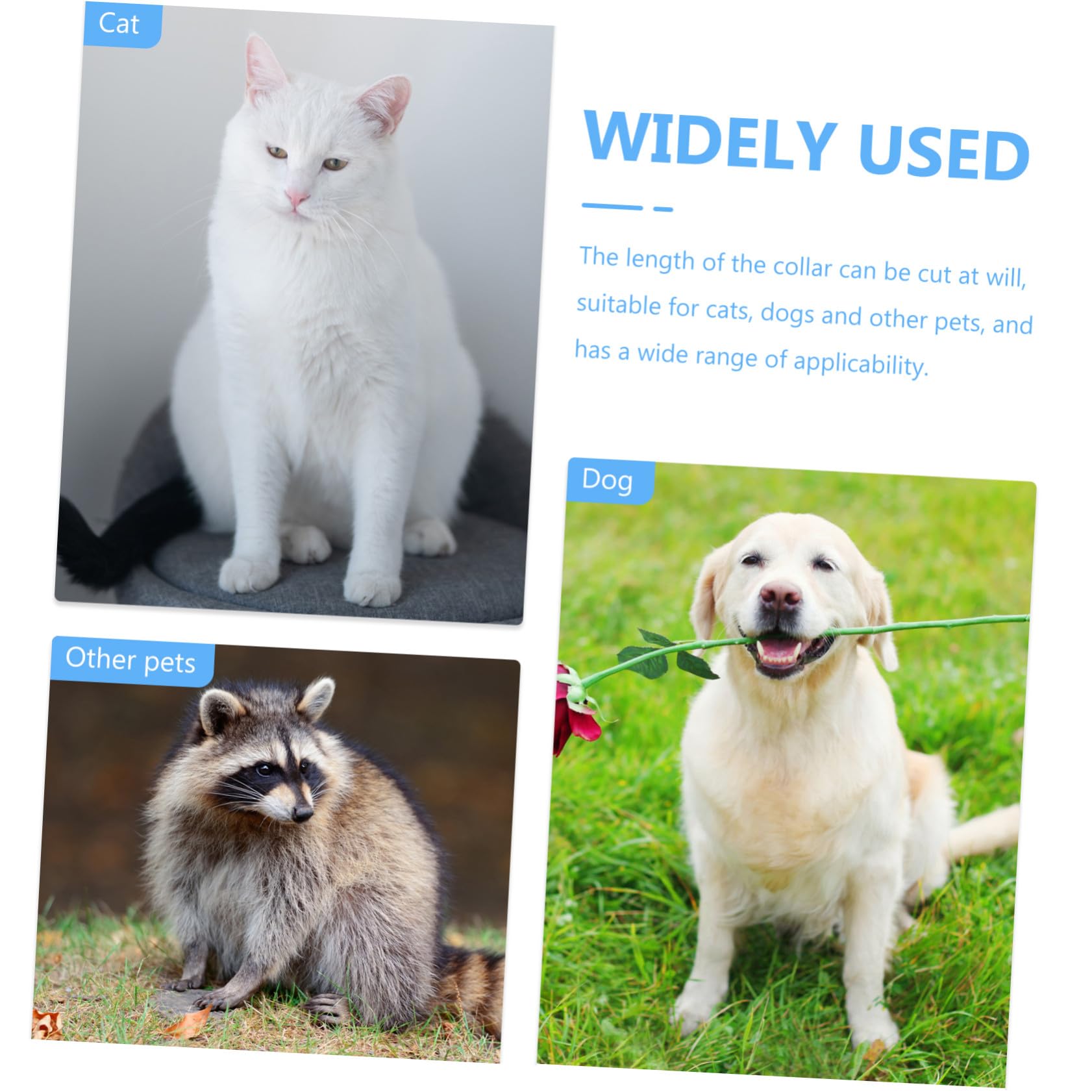 Didiseaon 3piezas Collar Led para Gatos Recargable para Paseos Resistente y De Limpiar