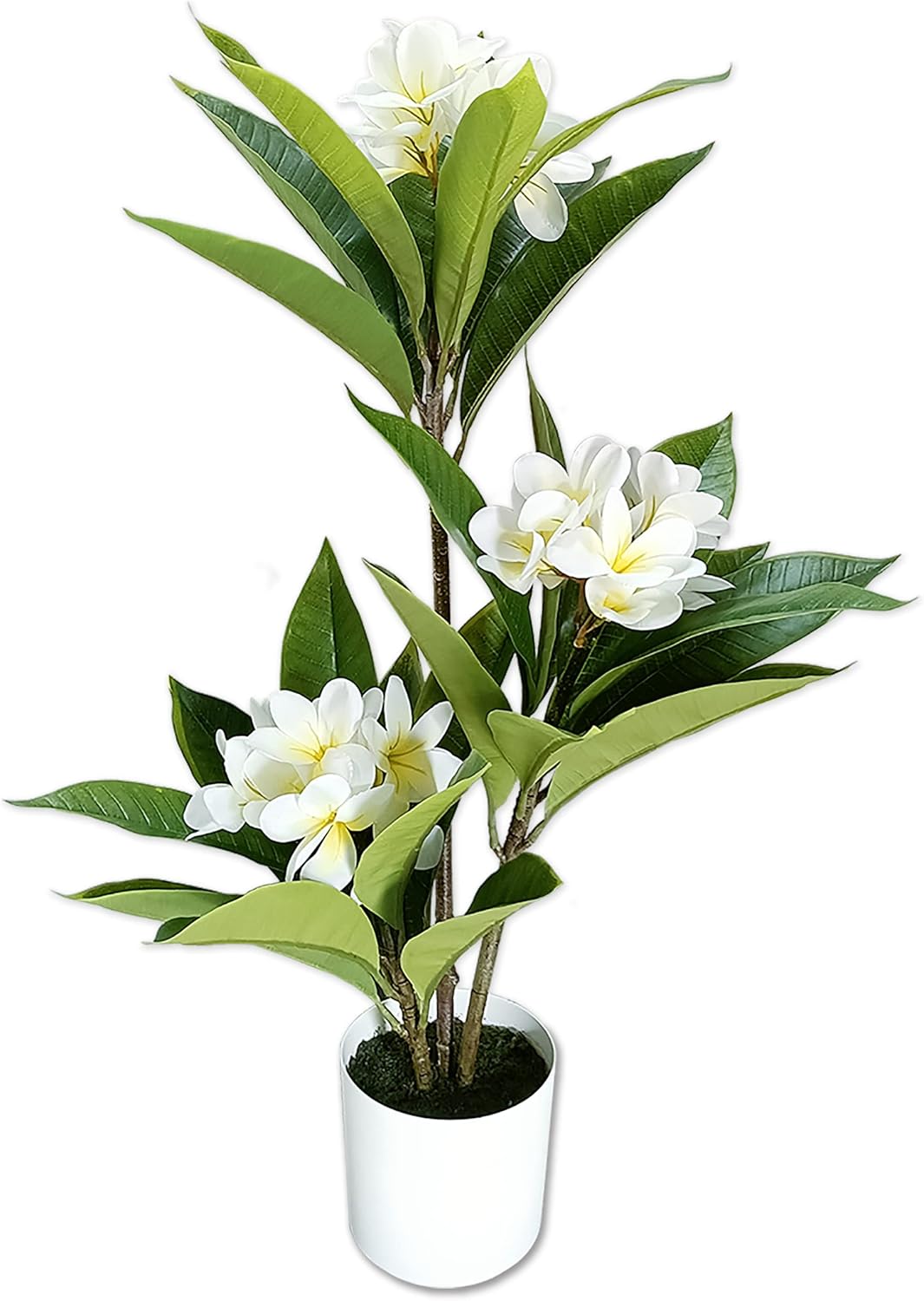 27" Plumeria Frangipani Potted Artificial Tree for Interior and Exterior décor use for Home, Office, Living Room, Kitchen, Bedroom, Balcony Decor, Indoor Outdoor Perfect Housewarming Gift.
