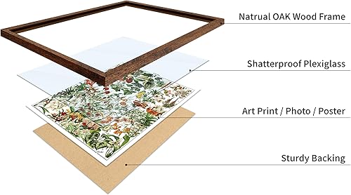 Miniatura 378 de Poster Master Póster vintage de orquídea, estampado de flores retro, arte de pared de plantas exóticas, arte botánico, regalo para hombres y