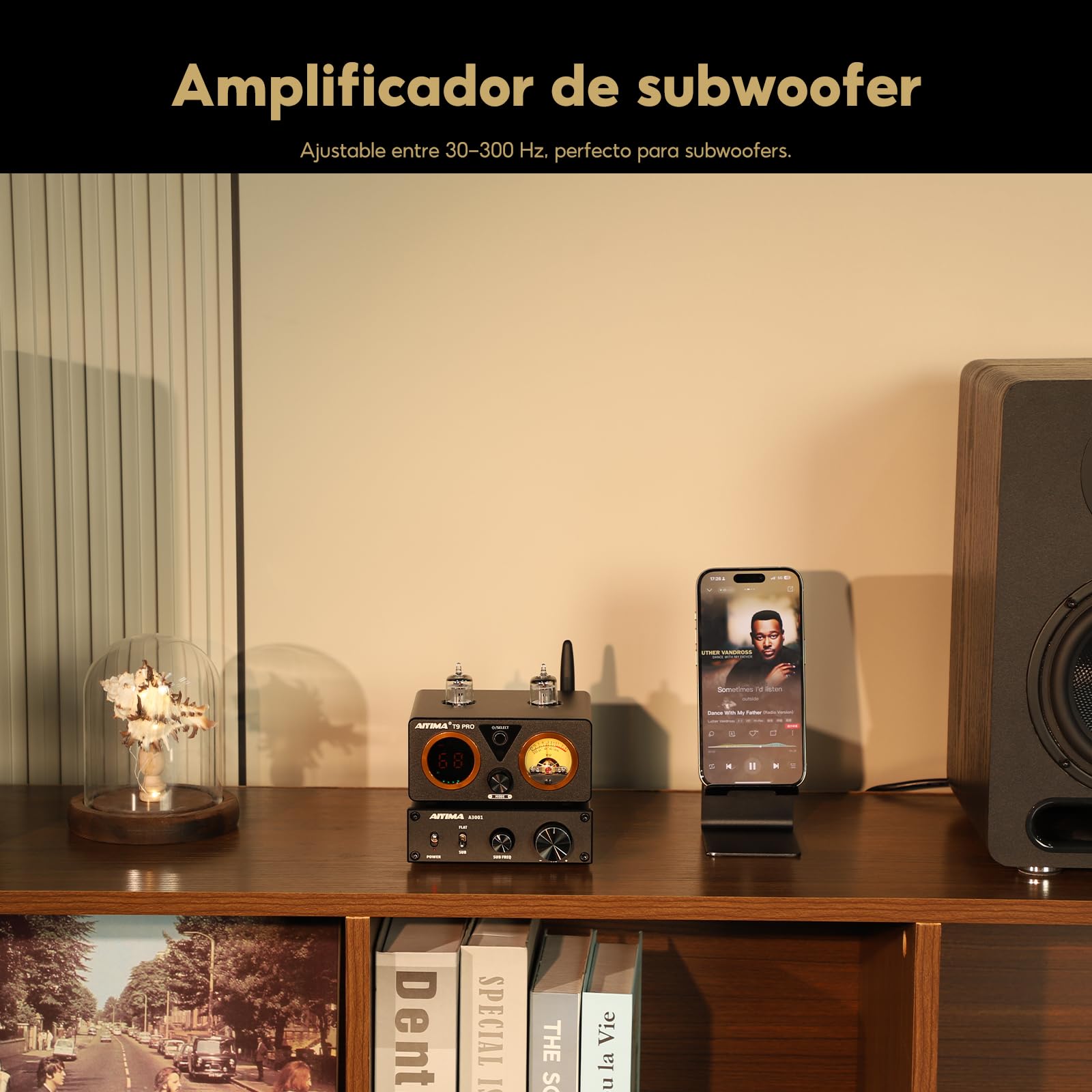 AIYIMA A3001 TPA3255 - Amplificador Mini de Subwoofer 200W, Potencia Mono HiFi Clase D, Frecuencia Completa y Subgraves Conmutables, DC 24V-48V Sub Amp