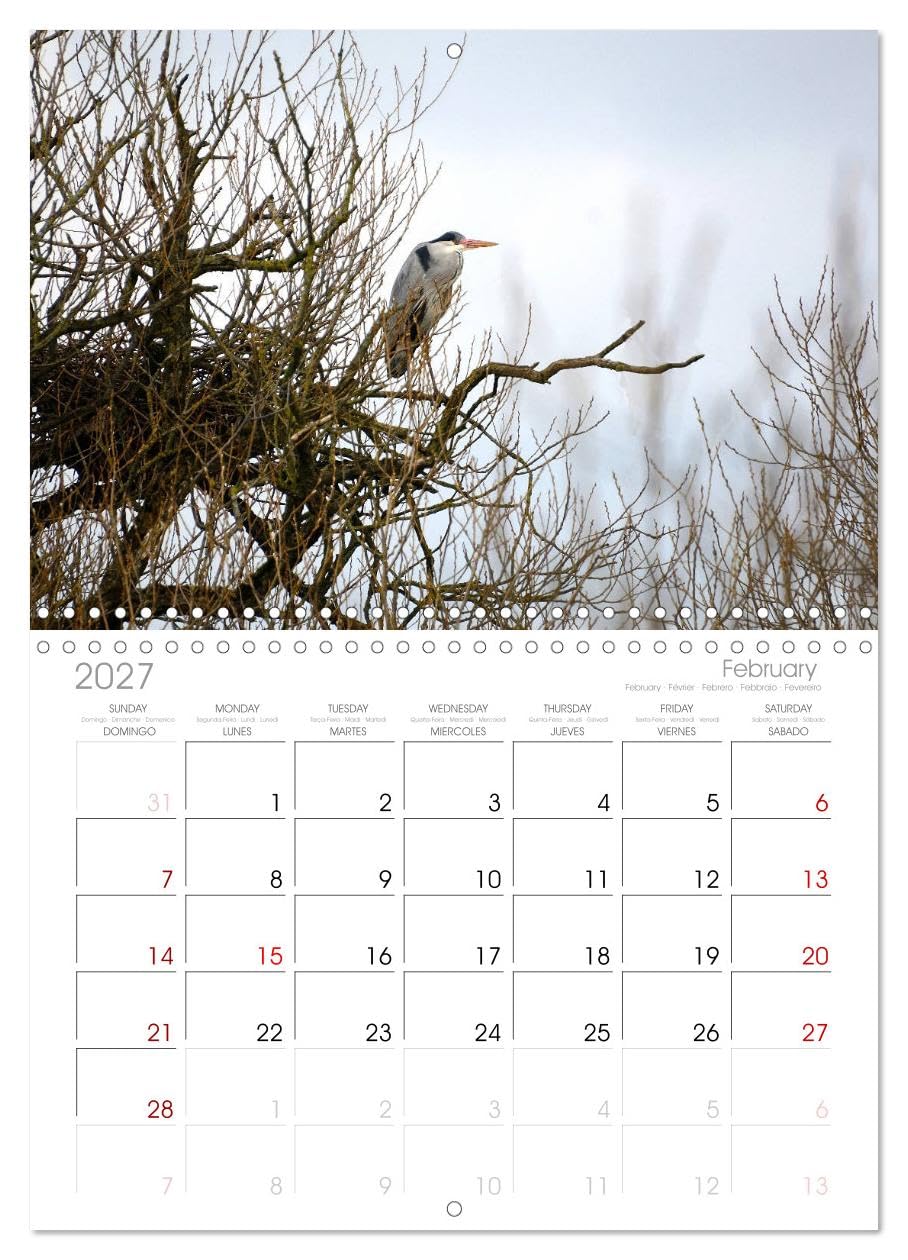 Calendar 2027 · Réserve naturelle de Wumme