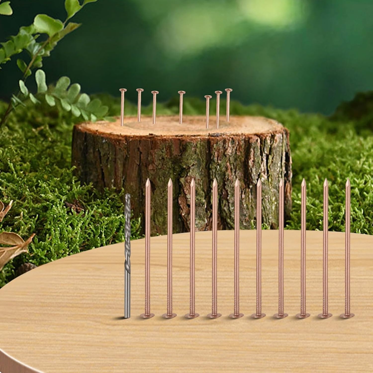 Nails Killing Trees Stump Roots, 3.15 Inch Pure Spikes with Drill Bit, Tree Removal Hardware Kit Garden Projects, 10 Pack